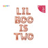 Halloween Themed 2nd Birthday 'Lil Boo Is Two' Banner