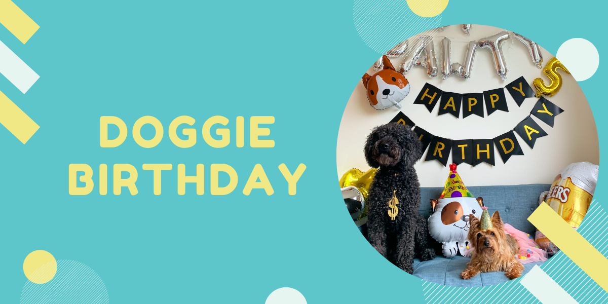 How to plan a pet's birthday party during Quarantine