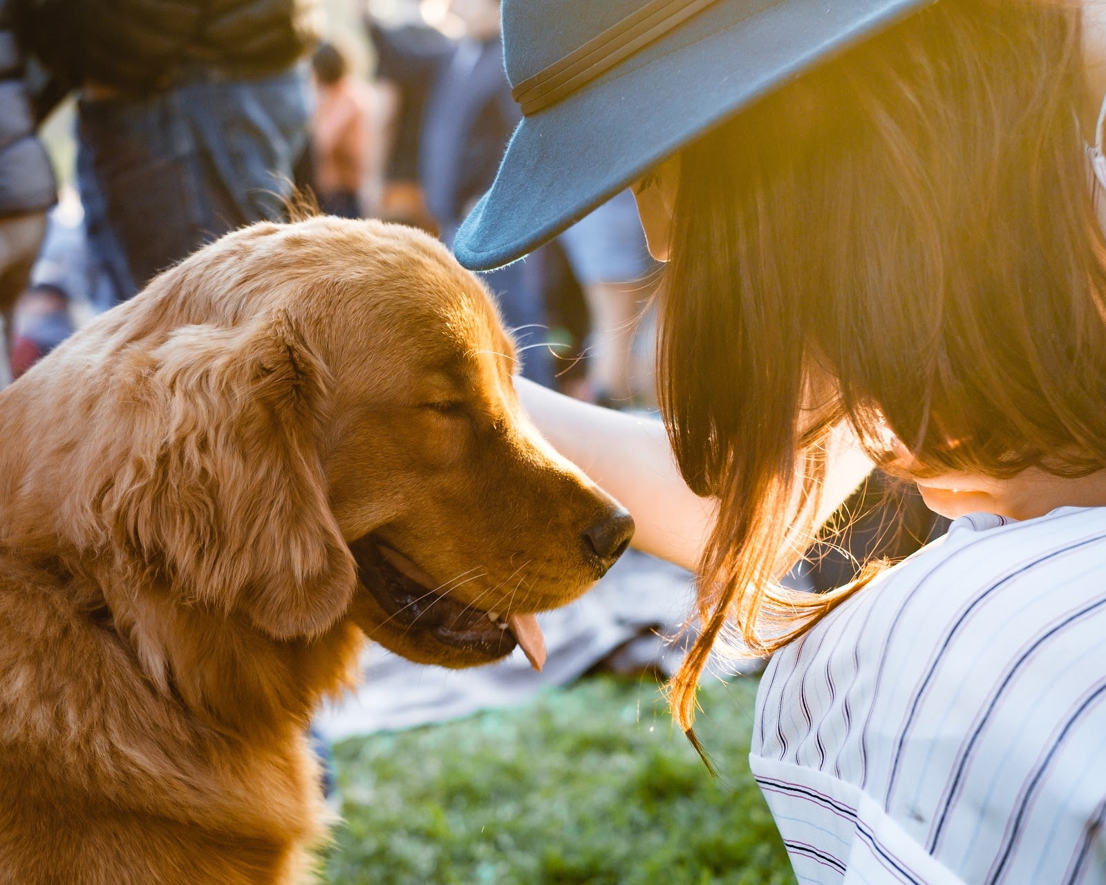 8 Ways to Celebrate Your Dog's Birthday