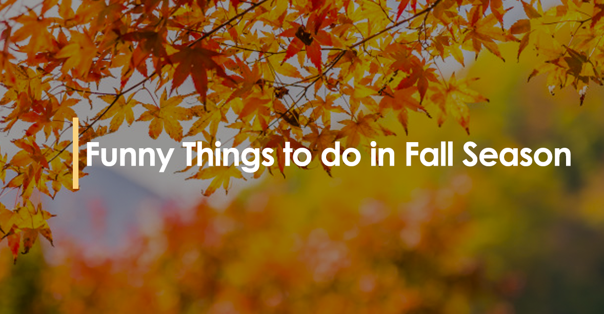 Funny Things to do in Fall Season