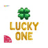 Lucky One St Patrick’s Day Birthday Balloon Decoration: First Birthday Irish Theme Party Decor