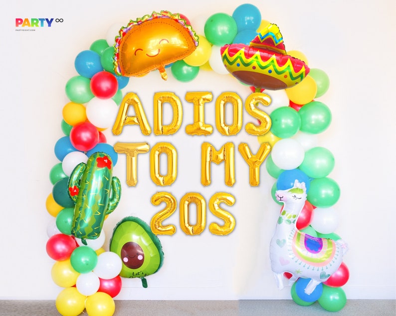 30th Birthday Adios To My 20s Banner