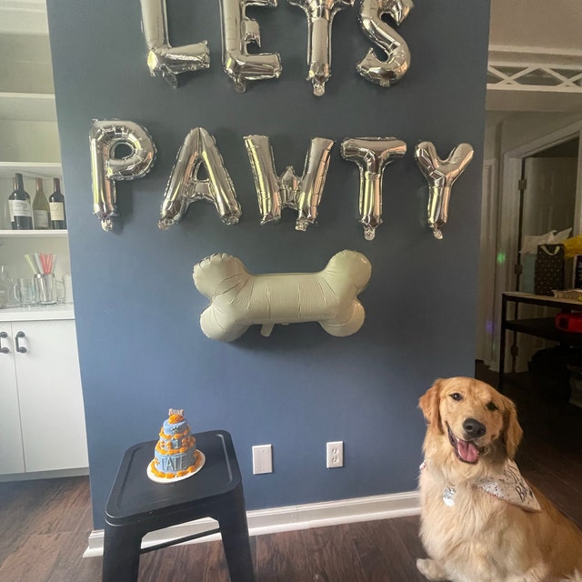 Lets Pawty Balloon Banner with Bone Balloon