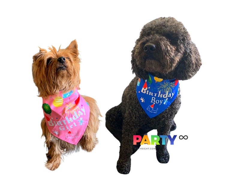 Happy Birthday Dog Bandana