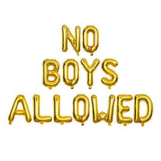 No Boys Allowed Banner