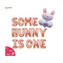 Some Bunny Is One Balloon Banner