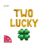 St Patricks Day 2nd Birthday Two Lucky Banner