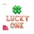 "Lucky One" Balloon Banner | St Patricks Day