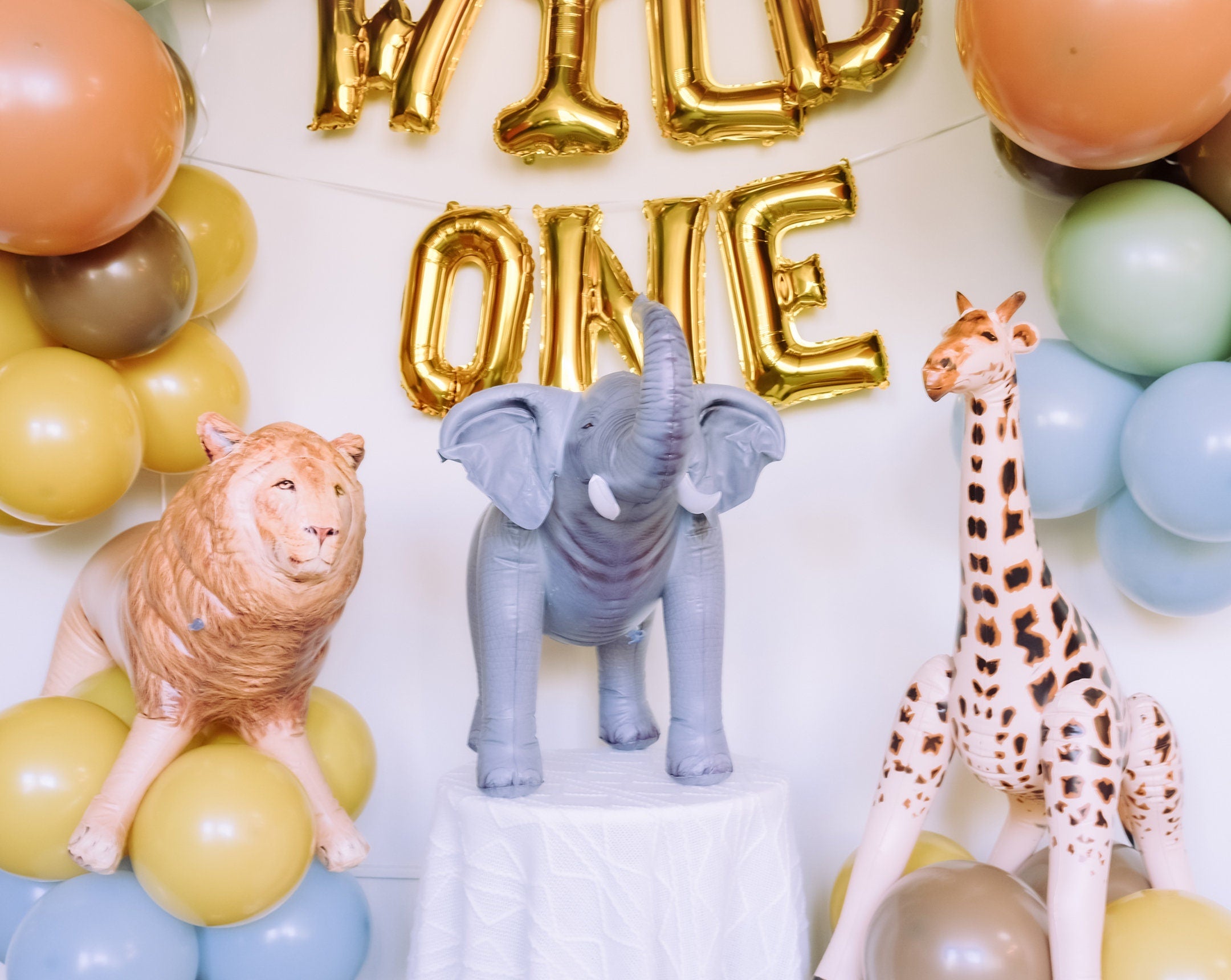 Wild one Balloon Garland