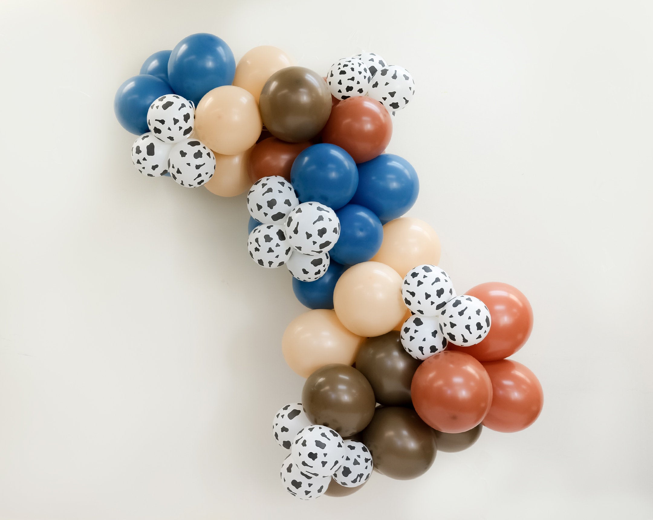 My First 1st Rodeo Wild West Balloon Arch Kit