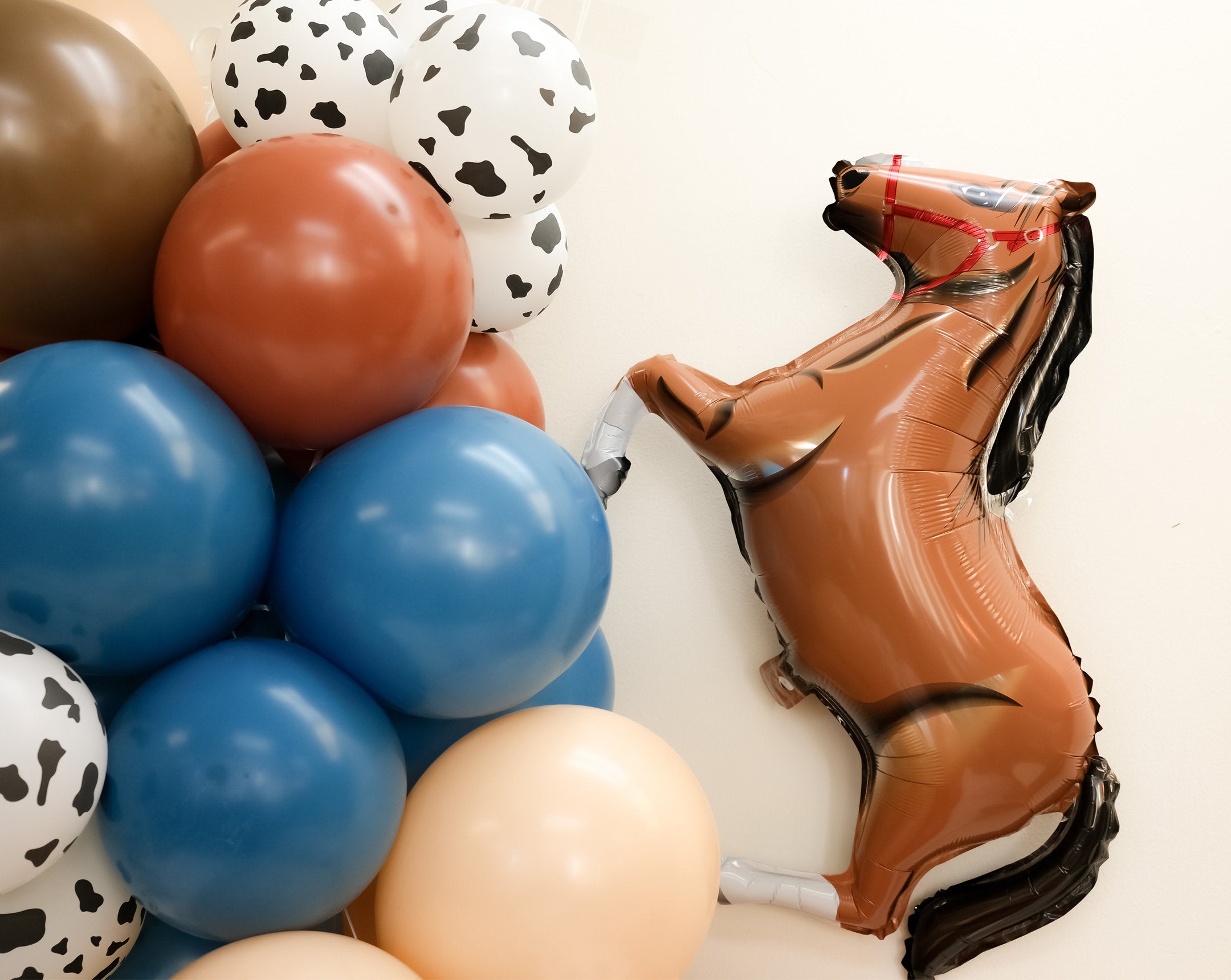My First 1st Rodeo Wild West Balloon Arch Kit